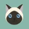 蒼 めねこ