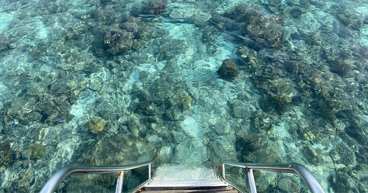 モルディブ】世界一美しい海でした｜一級建築士の旅の記録