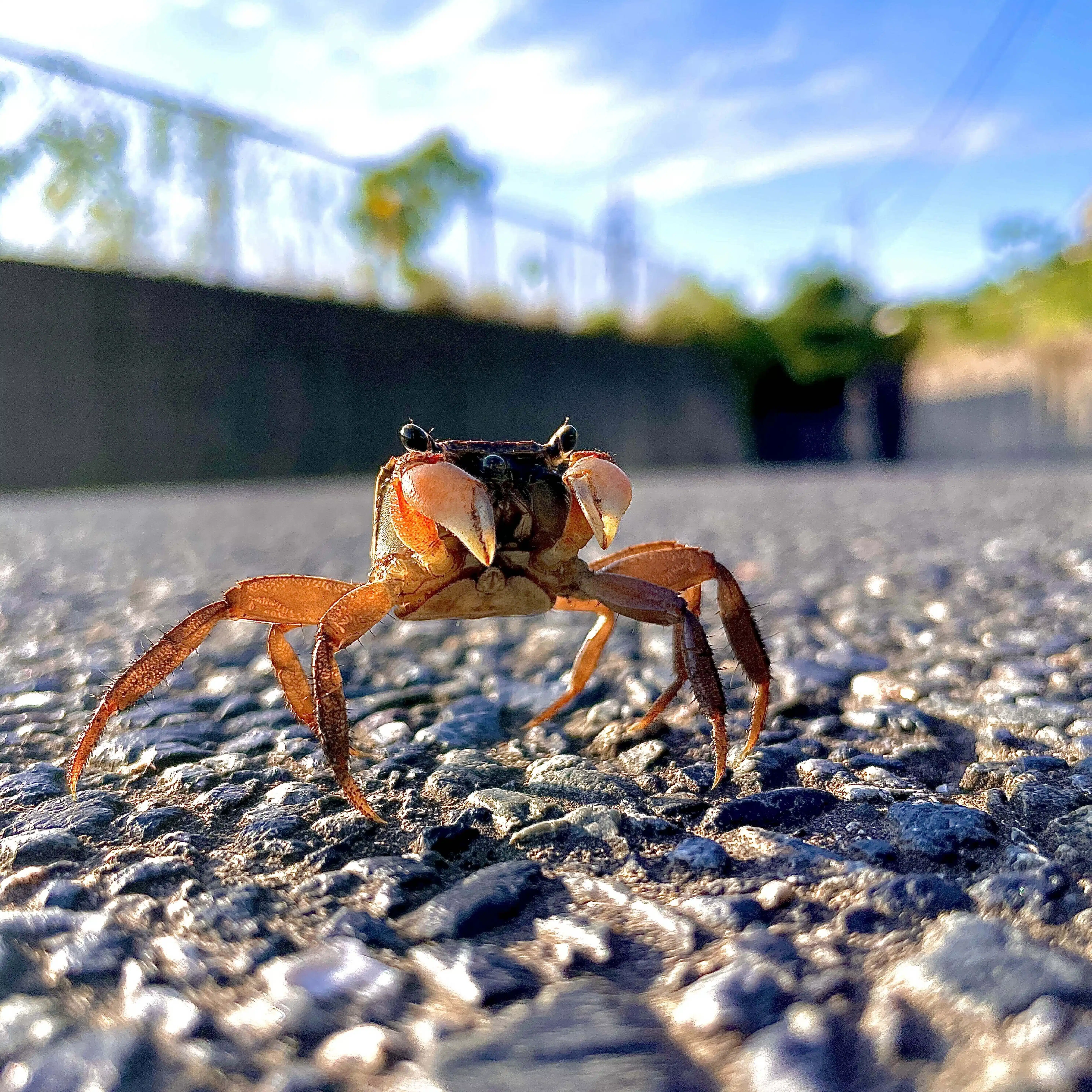 旅のすゝめ