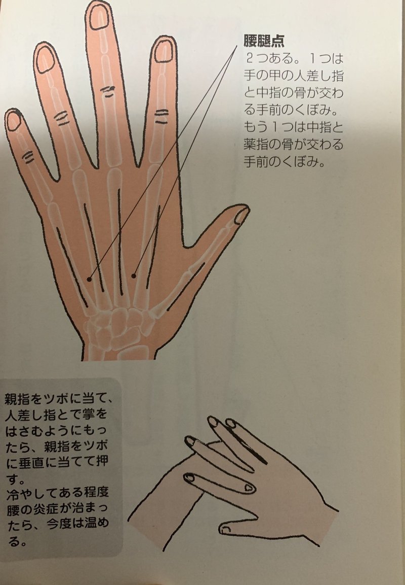 腰痛を改善し 勃起不全 Edを改善する6つの方法 竜王 Note 腰痛を改善し 勃起不全 Edを改善する6つの方法 竜王 Note