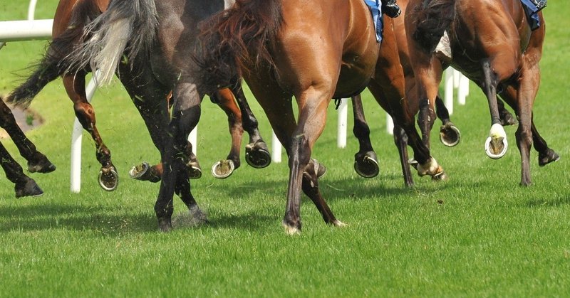 日本競馬の 本当の馬場状態 を知ることで 走る馬は見極められる 一口馬主マスターb Note 日本競馬の 本当の馬場状態 を知ることで 走る馬は見極められる 一口馬主マスターb Note