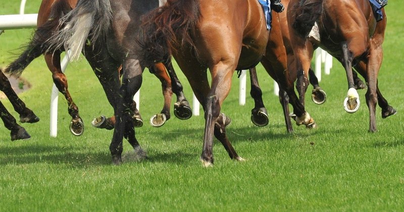 日本競馬の 本当の馬場状態 を知ることで 走る馬は見極められる 一口馬主マスターb Note