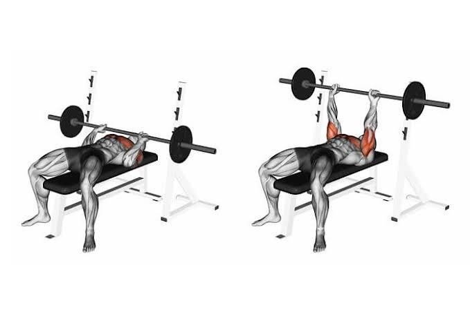 でかくなりたいならこれをやれ 腕トレ編 Forte Python プログラミングスクール Note