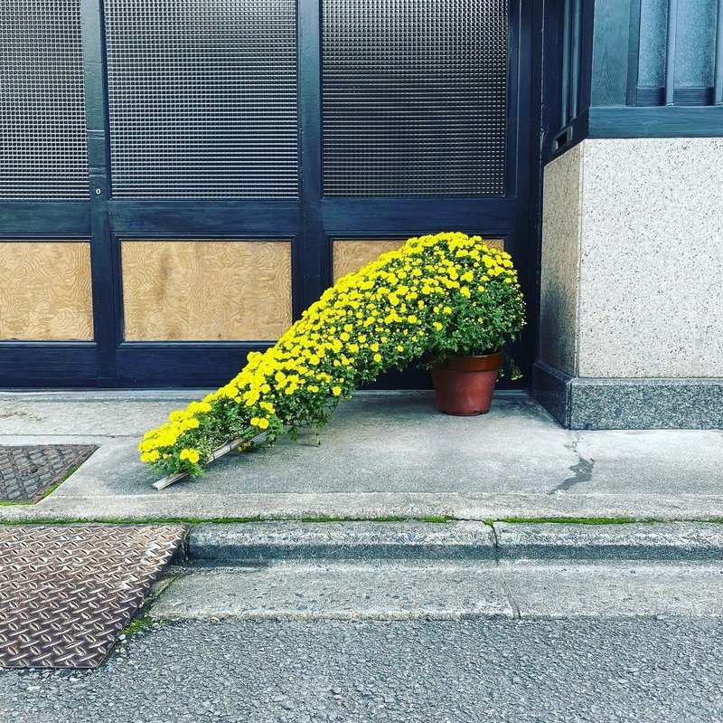 こどもと遊ぶ 東西南北まいごゲーム 松倉早星 Nue Inc Ku Ko Inc代表 Blank店主 Note