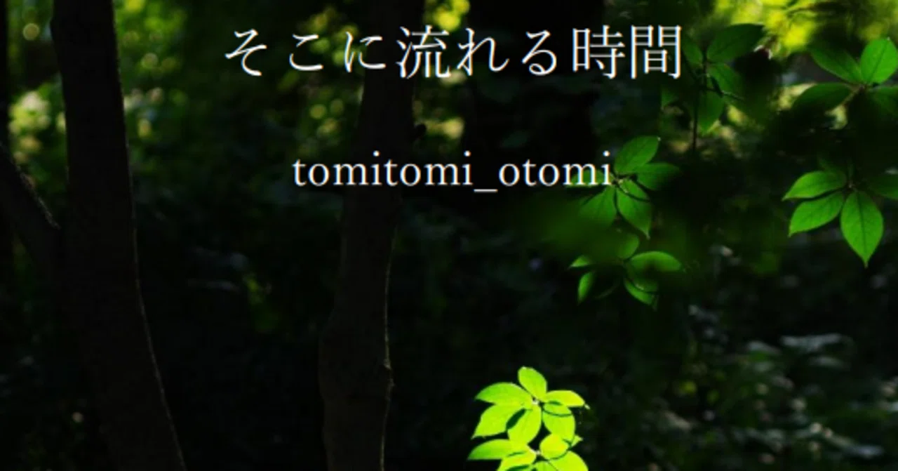 写真展を開催させていただきます！｜tomitomi_otomi