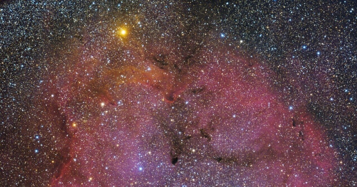 ケフェウス座 IC1396｜Astro Dragon -龍之介ノート