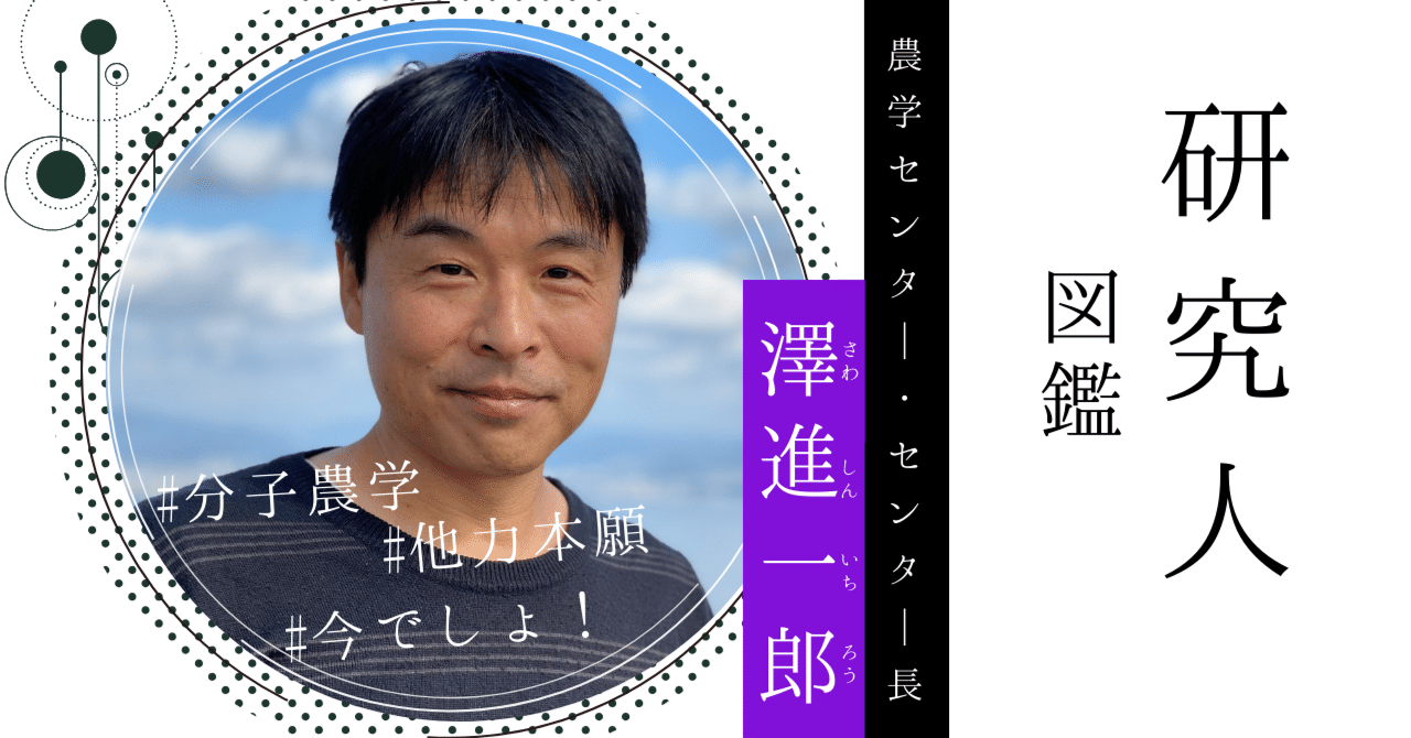 Vol.16 澤進一郎｜崖っぷち博士｜くまだいハブ｜KUMADAIHUB