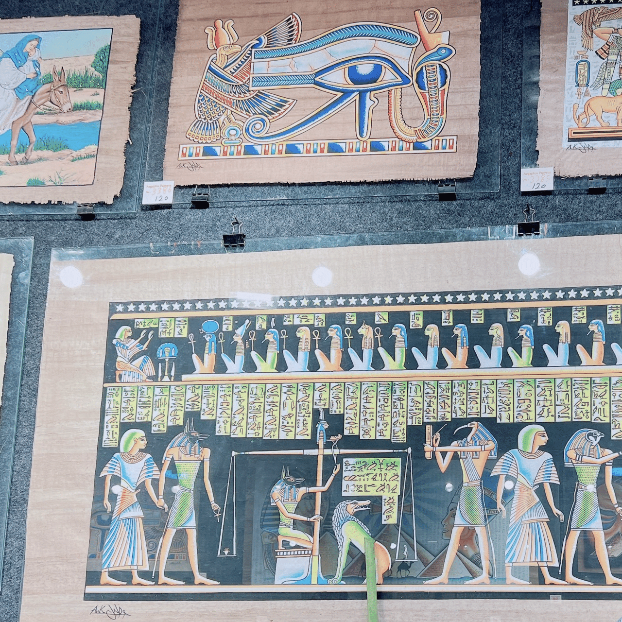 エジプト旅行記〜パピルス編〜｜花嫁にもなれず、総合内科専門医にも