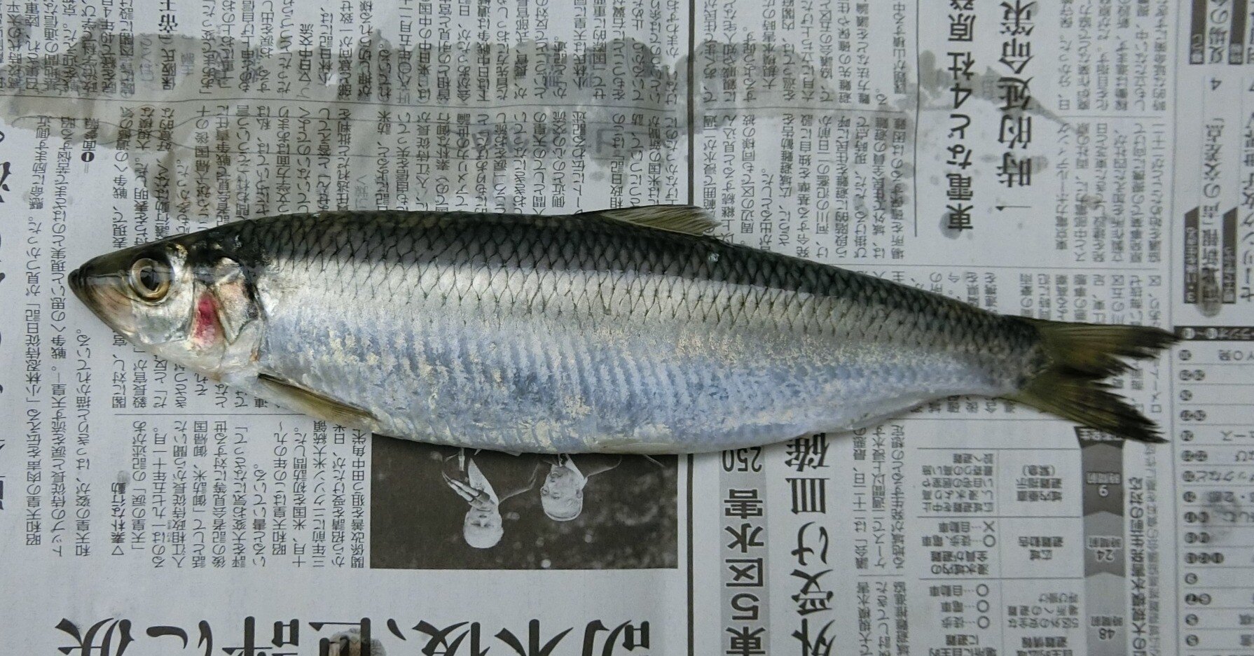 6e8e4180657bb6648d55a1d469ec28