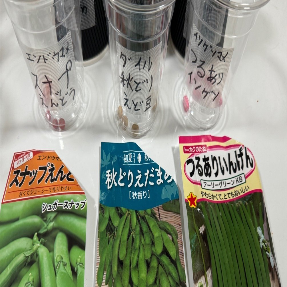 S*K様 サピックス　夏期講習　3年生　算数国語理科社会 SAPIXの夏期講習 (小学3年生)｜そよみんの中学受験