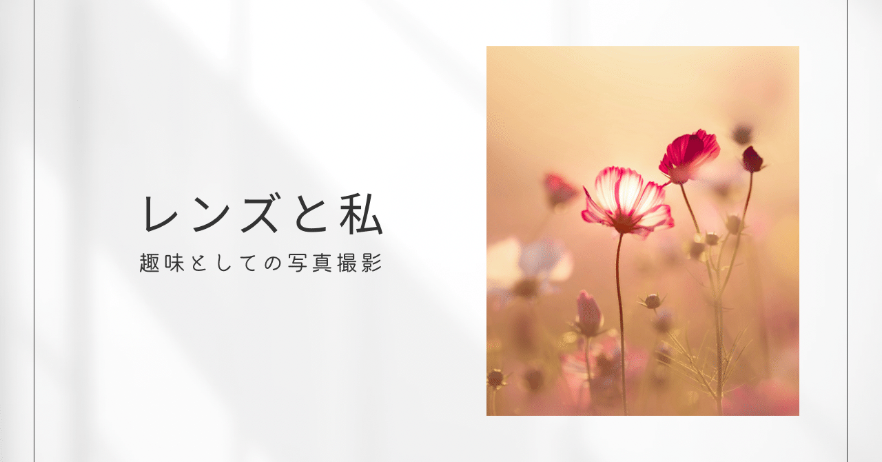 愛用のレンズ♡ CanonEF300mm F2.8L IS II USM ⑦｜田中 美代子