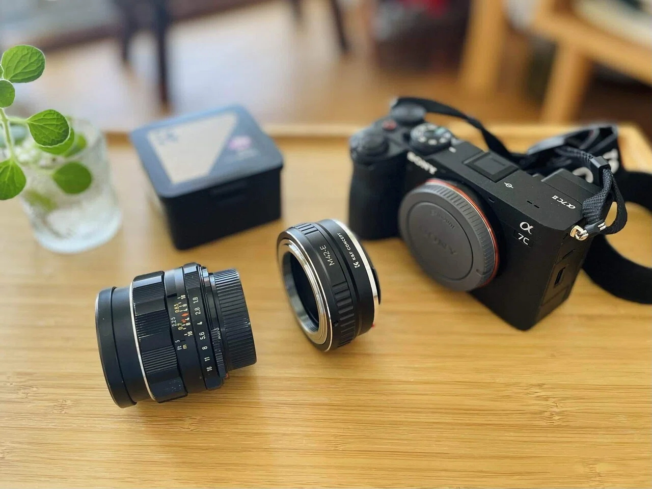 α7Cll × オールドレンズで探す、まだ暑い秋 🍁📷｜Key