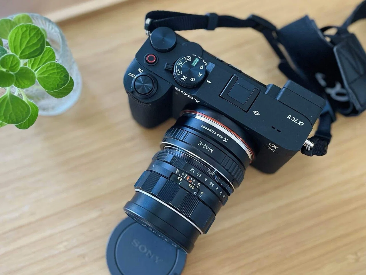 α7Cll × オールドレンズで探す、まだ暑い秋 🍁📷｜Key