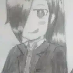 『半端な混沌』