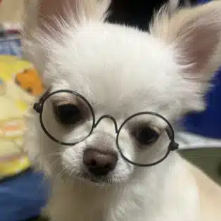 もかくう