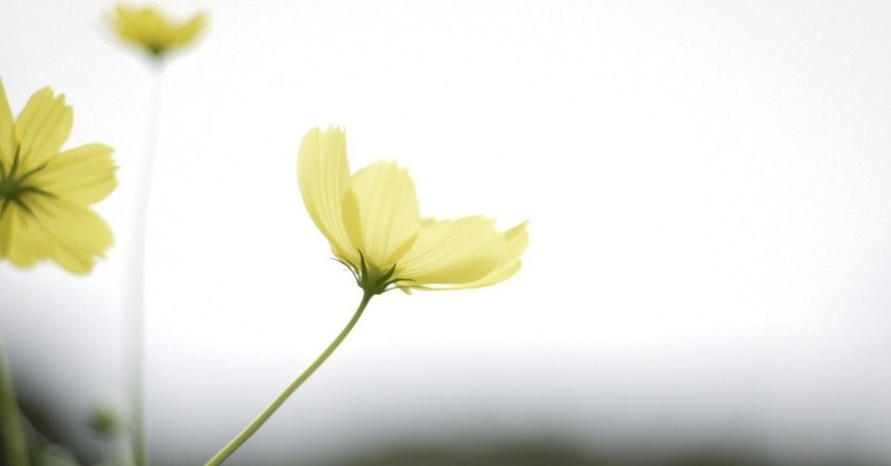 日常英会話に要する英語力 Tomo Note