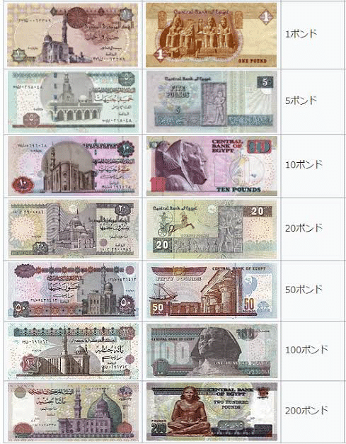 エジプトのお金｜青年海外協力隊 幼児教育🇪🇬のMiku
