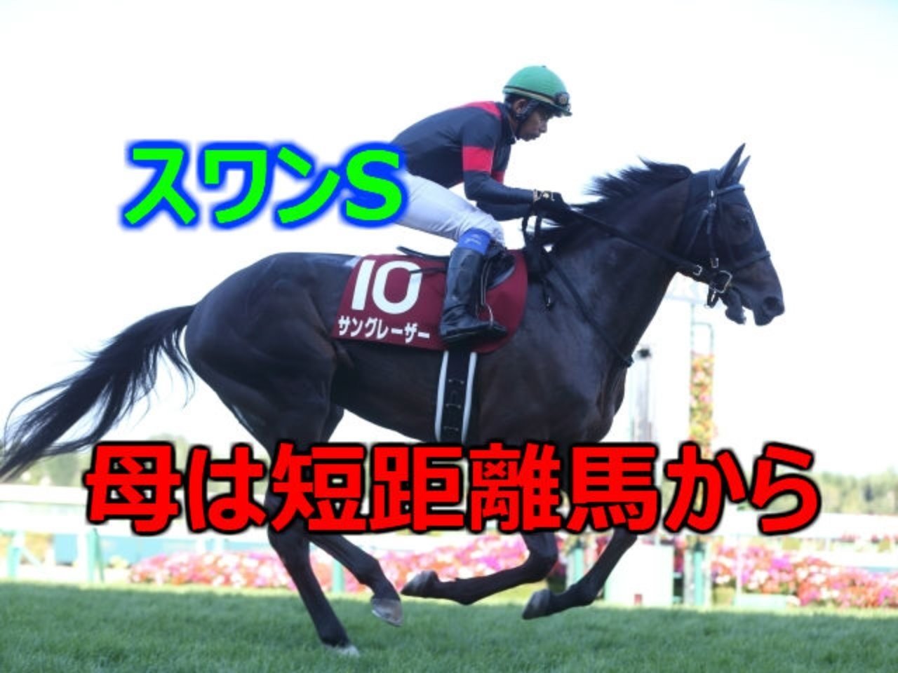 血統 スワンsに合う父母の配合を分析する こんにちは ぺちと申します Note