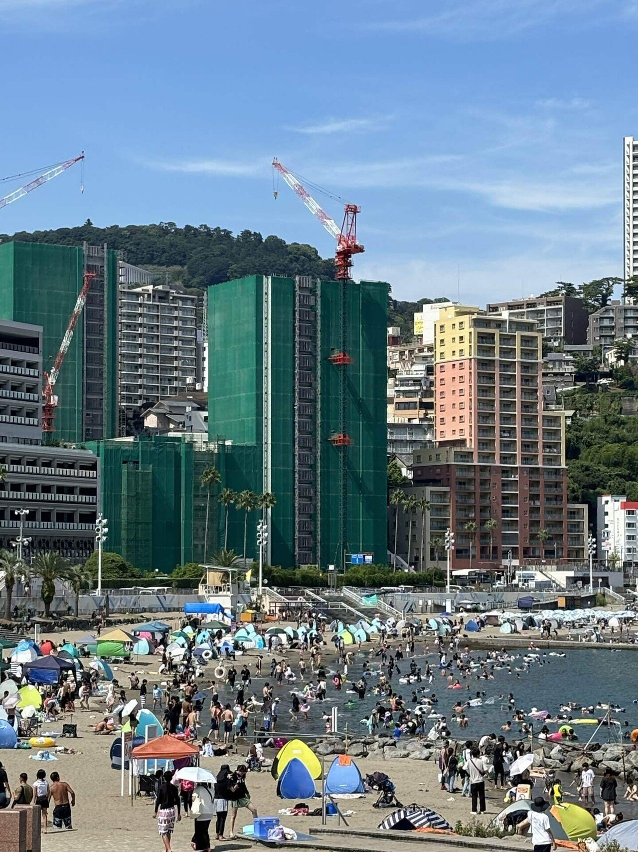 オレンジと黄色の熱海楓景　名有 黄金週間？ いえ、黄金柑です | ようこそ、熱海まち歩きガイドの会へ