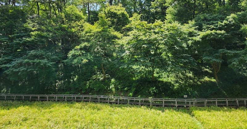 空堀川❗源流域の移ろい❗