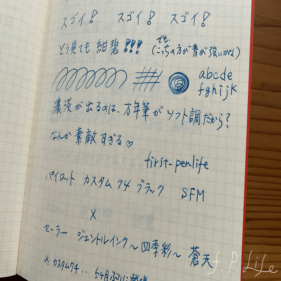 初めて買った軟ペン先は扱い要注意 カスタム74 SFM #18｜りい ~ first
