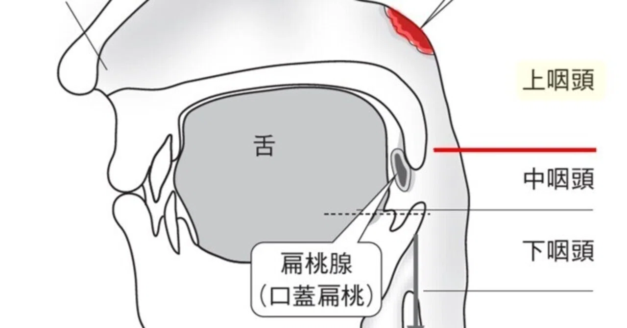 一番目のてすと｜えいごよう