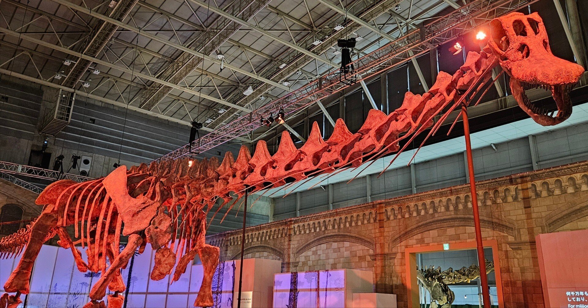 The Lost Universe 巨大竜脚類恐竜①史上最大の陸上動物｜美原さつき