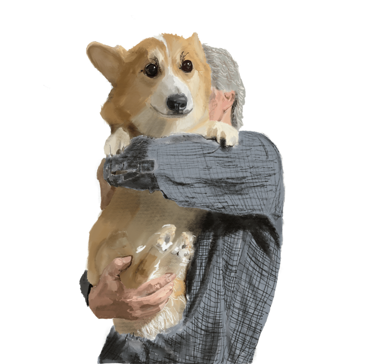 飼い犬コーギーの絵を書きました。｜マツオ