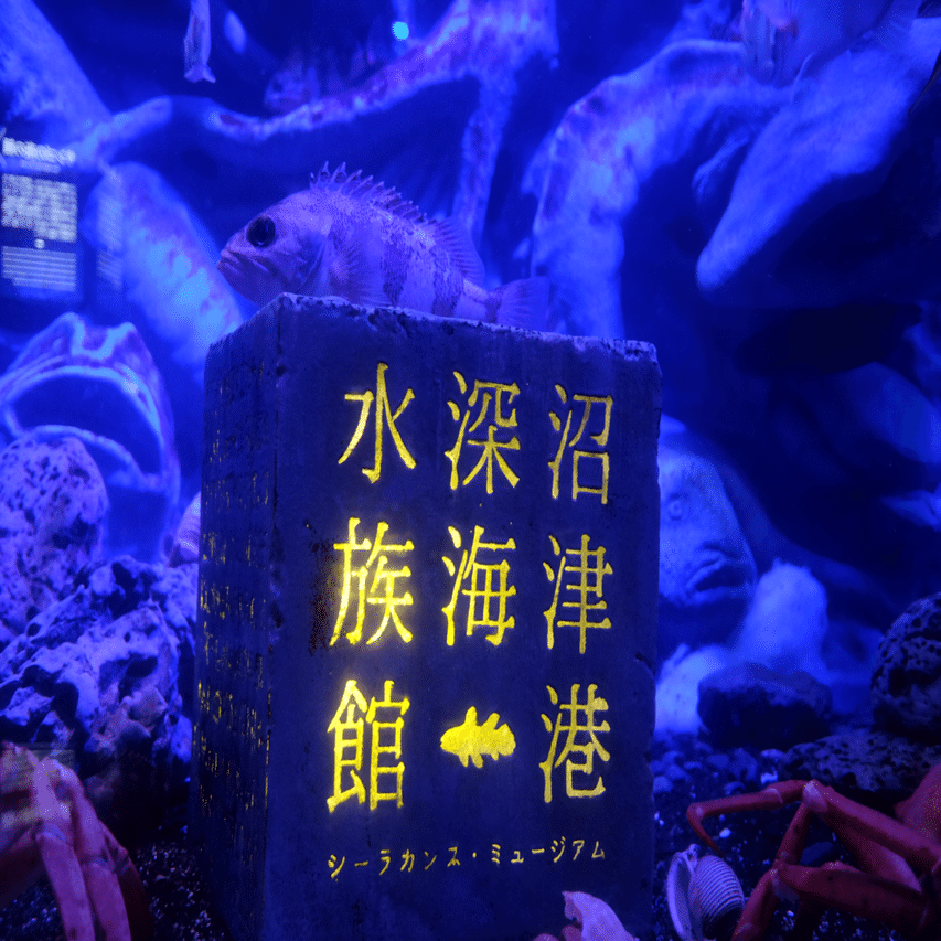 第一回ご当地マグネットコレクション｜薬味