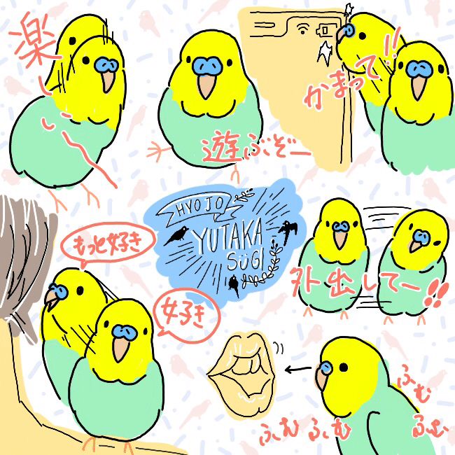 セキセイインコと2週間 暮らした話 Sdob Note セキセイインコと2週間 暮らした話 Sdob Note