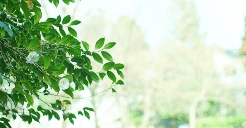 前向きに生きるにはどうすべきか