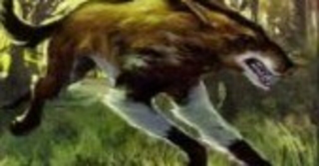 MTG】ミドルスクール参入のススメ2024｜TaMa