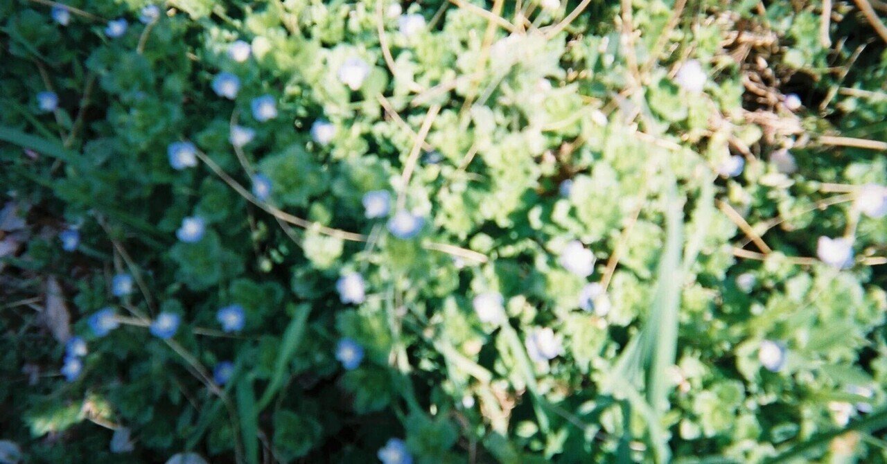 こころ』夏目漱石｜蓮水