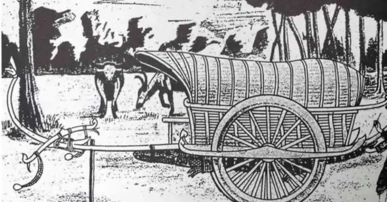 カンボジアの伝統的な乗り物である牛車について説明いたします