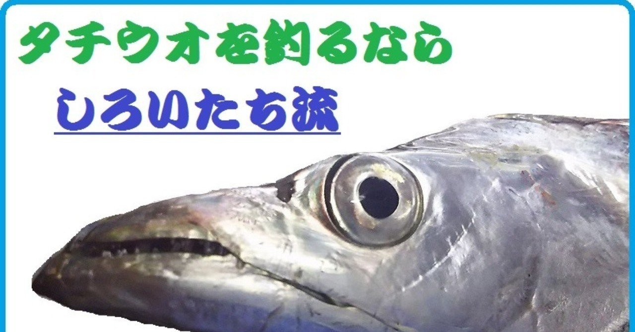 タチウオのウキ釣り しろいたち流 の仕掛けと あわせのコツ しろいたち Note