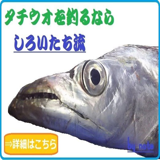 タチウオのウキ釣り しろいたち流 の仕掛けと あわせのコツ しろいたち Note