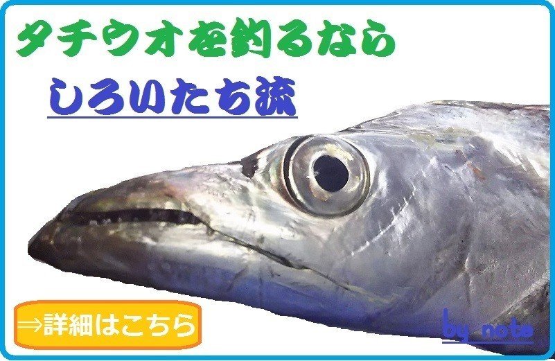 タチウオのウキ釣り しろいたち流 の仕掛けと あわせのコツ しろいたち Note タチウオのウキ釣り しろいたち流 の仕掛けと あわせのコツ しろいたち Note