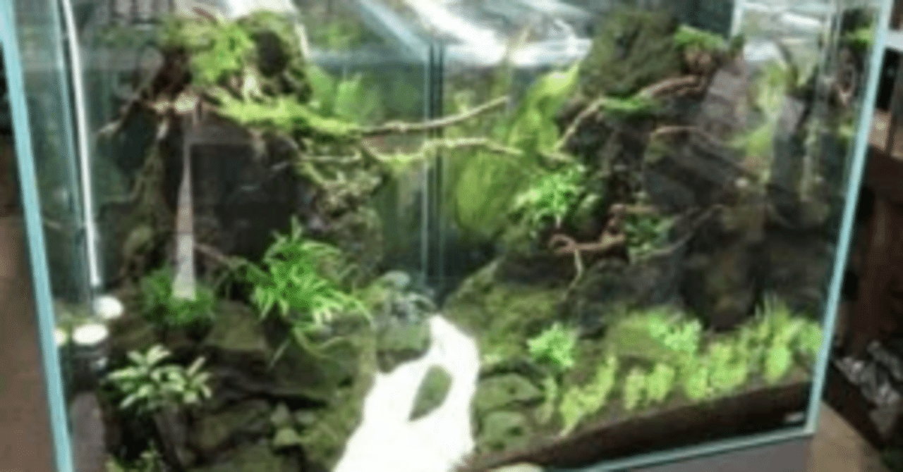 ADAキューブガーデン キューブガーデン新サイズ 発売のお知らせ | ADA - NEWS RELEASE