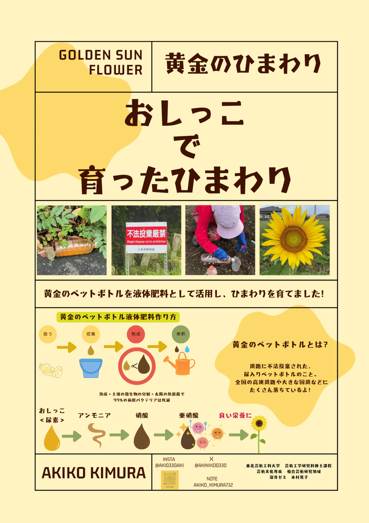 おしっこで育てたひまわり 完売❣️｜AKIKO KIMURA 木村晃子