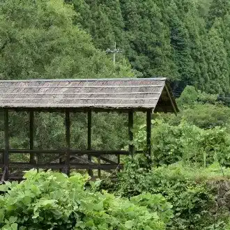 ディン