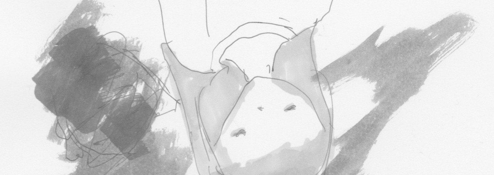 画とらくがき イラスト 泉由良 Note 画とらくがき イラスト 泉由良 Note
