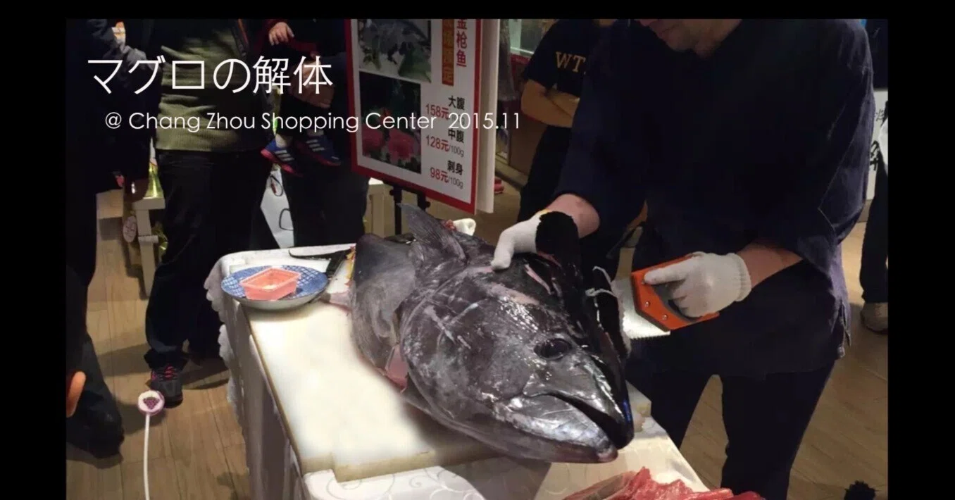 中国で食材と戯る。（46） マグロ-5 番外編｜古原貴大