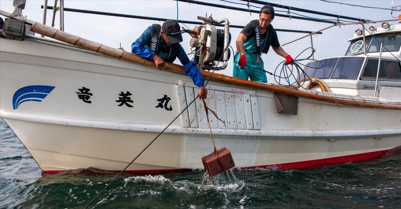 蛸壺漁　中古漁具一式 タコの習性を活かした伝統的なタコ壺漁。 【ニッポンの魚獲り