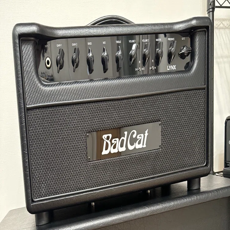 2024年、ギターアンプ購入に向けた検討(Bad Cat LYNX購入とそれに至る 