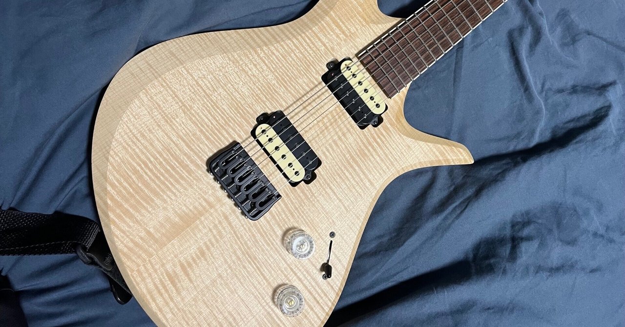 機材紹介(自慢)② Aviator Custom Guitar Blackbird 6 (666mm