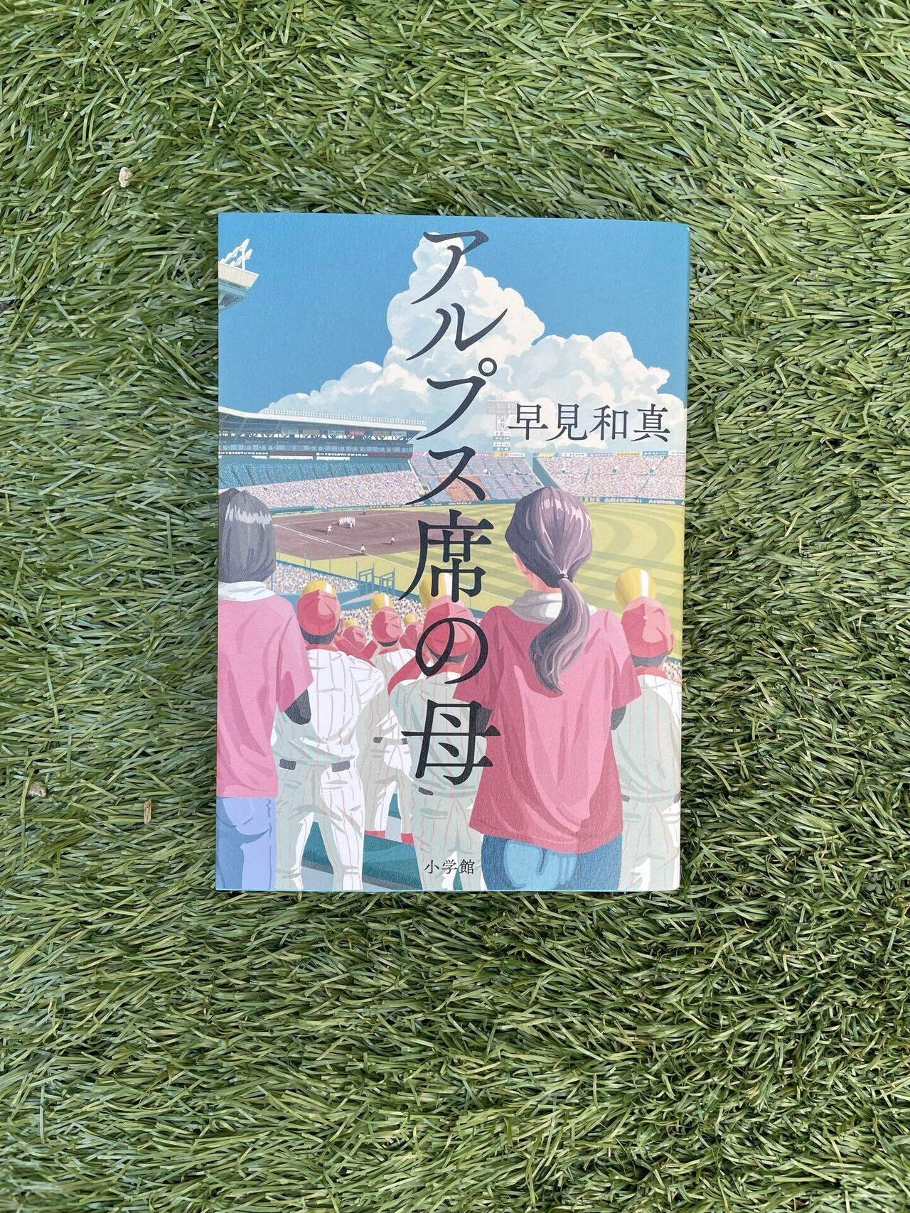 アルプス席の母｜Shima 𖠚ᐝ