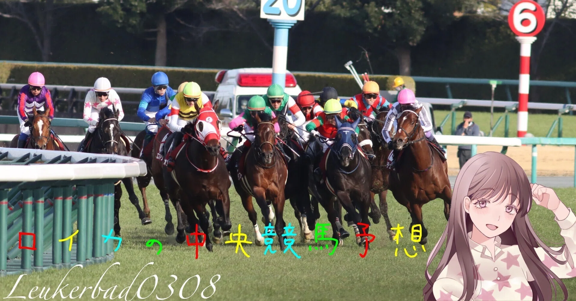 今週 の 中央 競馬
