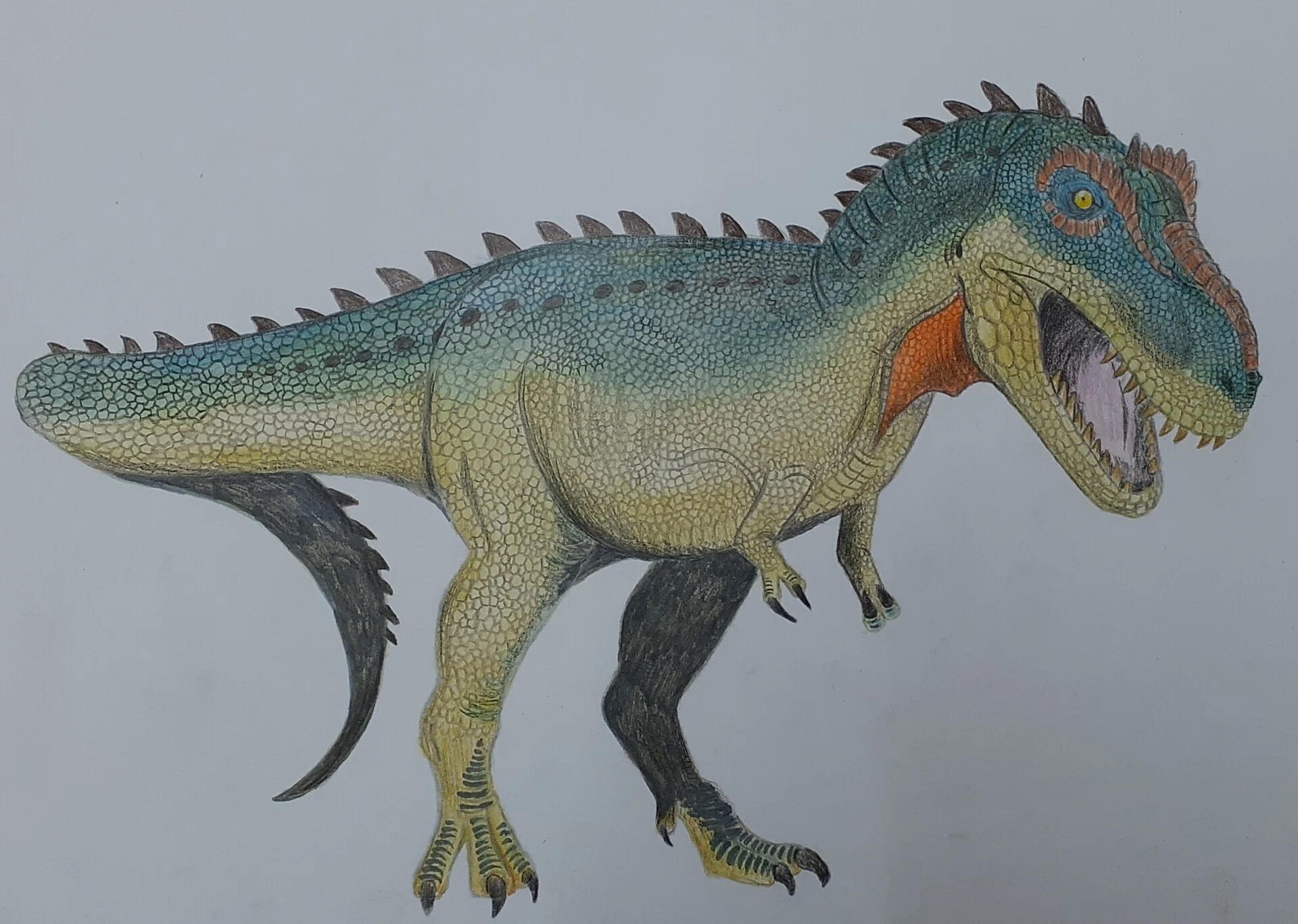 イラスト】ティラノサウルスを描きました｜TechpanCreate（テクパン