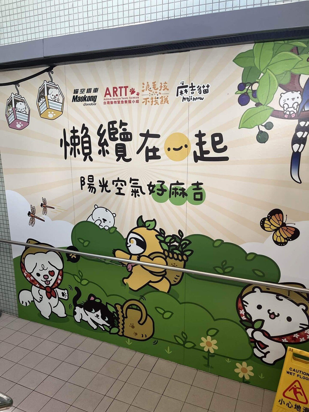 ソラ様 専用 ソラ様専用 そら様】専用 ソラ様専用出品（こちら専用出品