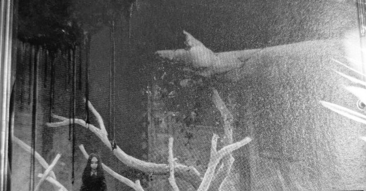 now‐that's why I woke up‐【Playlist】｜Yuyu6⛤即興詩人/アナリスト